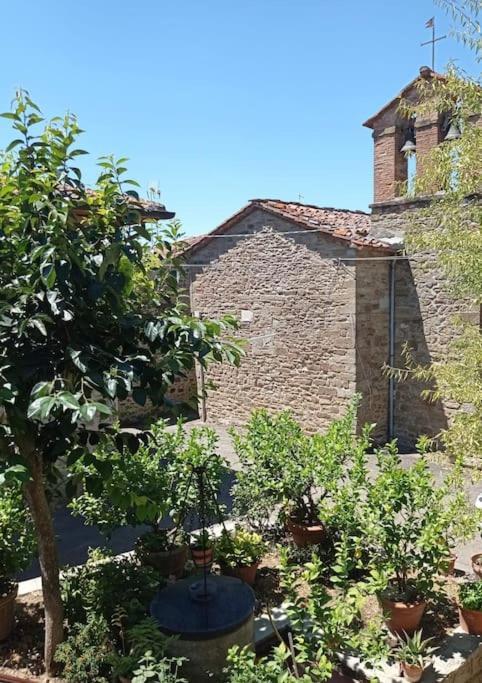 Petreto Il Giardino Dei Limoni Lejlighed Castiglion Fiorentino Eksteriør billede