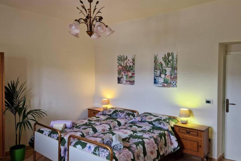 Petreto Il Giardino Dei Limoni Lejlighed Castiglion Fiorentino Eksteriør billede